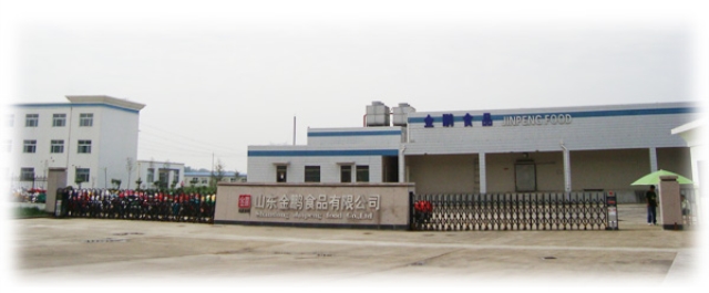 Shandong Yike Jinpeng Food Co., Ltd. Sewage treatment works